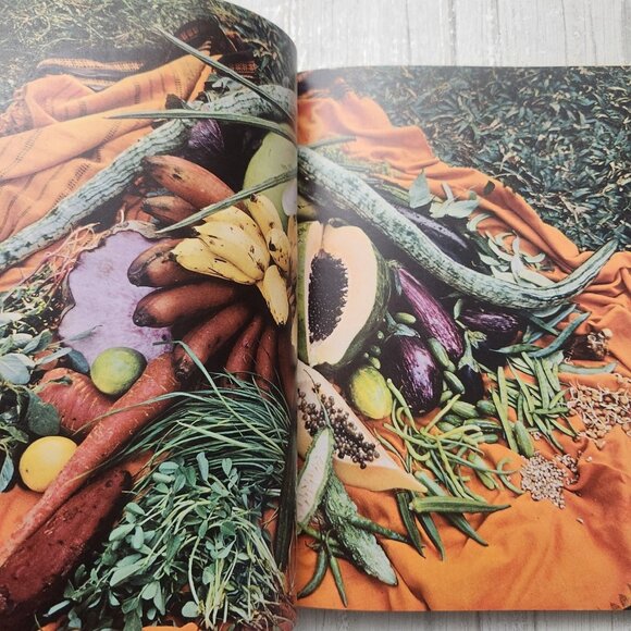 The Cooking of India Time Life Foods Of The World Cook Book Set - Picture 9 of 12